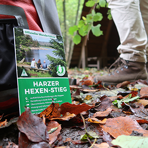 Logo Harzer Hexen-Stieg im Wald