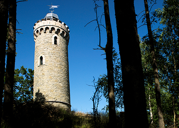 Blick durch die Bäume zum Kaiserturm bei Wernigerode